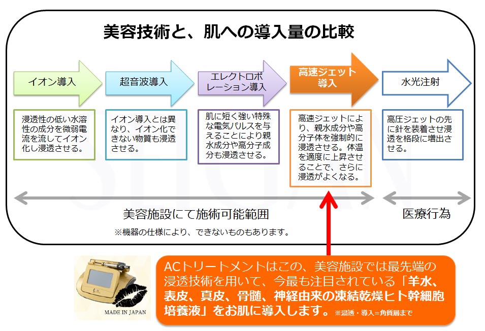 東京 港区 外苑前駅から徒歩2分 「エステ以上、美容外科未満」のメディカルエステなら 肌質改善のための 本格スキンケアエステサロン SEIGANへ｜ACトリートメント　ヒト幹細胞