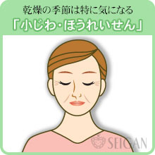 小じわ・ほうれい線の悩み｜東京 からだのことなら｜肌・頭皮（薄毛）の悩みの改善に「ヒト幹細胞と植物幹細胞による」メディカル系フェイシャルエステケア【FCR・リアボーテハーブ・ACトリートメント・クレアスキン基礎化粧品の正規取扱いサロン】