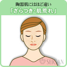 ざらつき・肌荒れの悩み｜東京 からだのことなら｜肌・頭皮（薄毛）の悩みの改善に「ヒト幹細胞と植物幹細胞による」メディカル系フェイシャルエステケア【FCR・リアボーテハーブ・ACトリートメント・クレアスキン基礎化粧品の正規取扱いサロン】