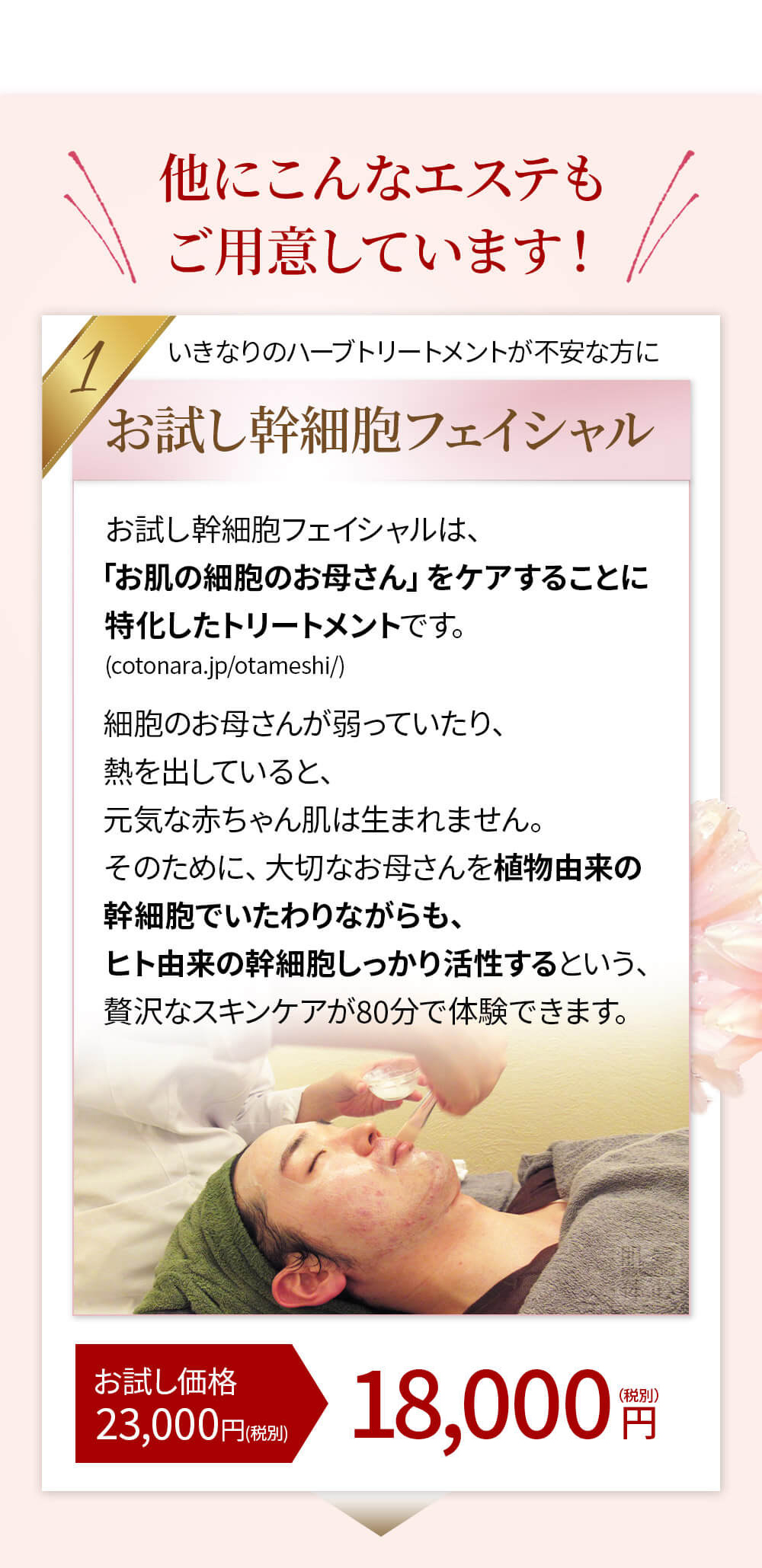 初めての リアボーテ ハーブトリートメントなら 東京 からだのことなら｜口コミ 効果 ダウンタイムなし 剥離なし 値段 など徹底解説　【スキンケア専門サロン 美肌再生研究所 SEIGAN】