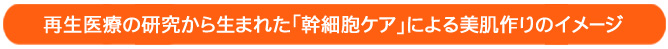 リアボーテお試し幹細胞トリートメント ｜【東京 港区 北青山】「からだのことなら」は、肌・髪・体・心の悩み改善に「丁寧に寄り添う」メディカル系ケア施術院です。肌質改善・加齢肌対策・薄毛・抜け毛をはじめ、体調不良・痛みなどでお悩みなら1度ご来院下さい。