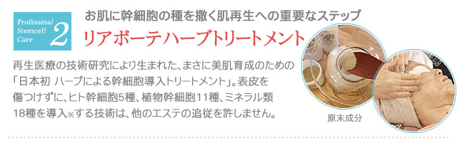 リアボーテお試し幹細胞トリートメント ｜【東京 港区 北青山】「からだのことなら」は、肌・髪・体・心の悩み改善に「丁寧に寄り添う」メディカル系ケア施術院です。肌質改善・加齢肌対策・薄毛・抜け毛をはじめ、体調不良・痛みなどでお悩みなら1度ご来院下さい。