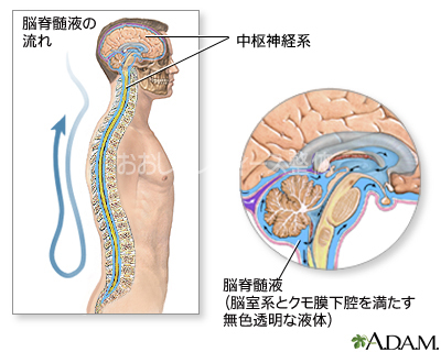 東京 からだのことなら｜マッサージでは治らない身体の痛み、コリ、体調不良の悩みの改善に女性整体師によるポキポキしない痛くない本格整体