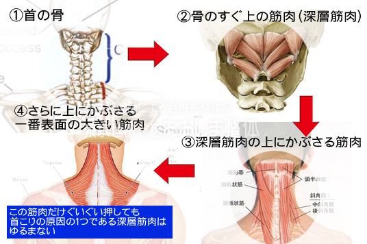 東京 からだのことなら｜マッサージでは治らない身体の痛み、コリ、体調不良の悩みの改善に女性整体師によるポキポキしない痛くない本格整体
