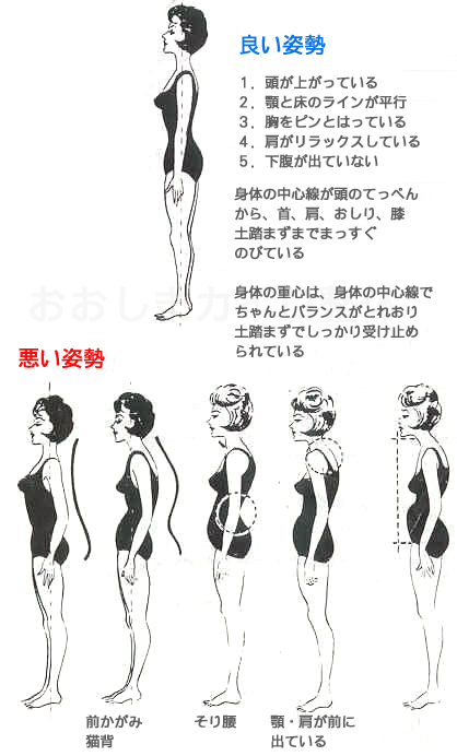 東京 からだのことなら｜マッサージでは治らない身体の痛み、コリ、体調不良の悩みの改善に女性整体師によるポキポキしない痛くない本格整体