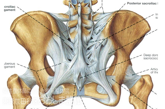 東京 からだのことなら｜マッサージでは治らない身体の痛み、コリ、体調不良の悩みの改善に女性整体師によるポキポキしない痛くない本格整体