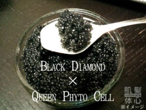 リアボーテ クイーントリートメント｜東京・世田谷区 リアボーテ正規取扱い販売店 からだのことなら【ビューティースキンラボ AnnaCarna】｜直営通販ネットショップ運営