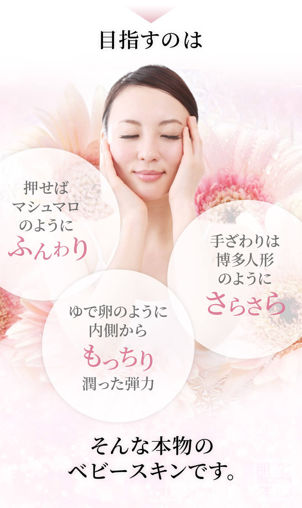 初めての リアボーテ ハーブトリートメントなら 東京 からだのことなら｜口コミ 効果 ダウンタイムなし 剥離なし 値段 など徹底解説　【スキンケア専門サロン 美肌再生研究所 SEIGAN】