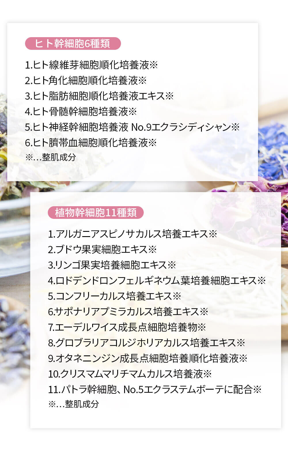 初めての リアボーテ ハーブトリートメントなら 東京 からだのことなら｜口コミ 効果 ダウンタイムなし 剥離なし 値段 など徹底解説　【スキンケア専門サロン 美肌再生研究所 SEIGAN】