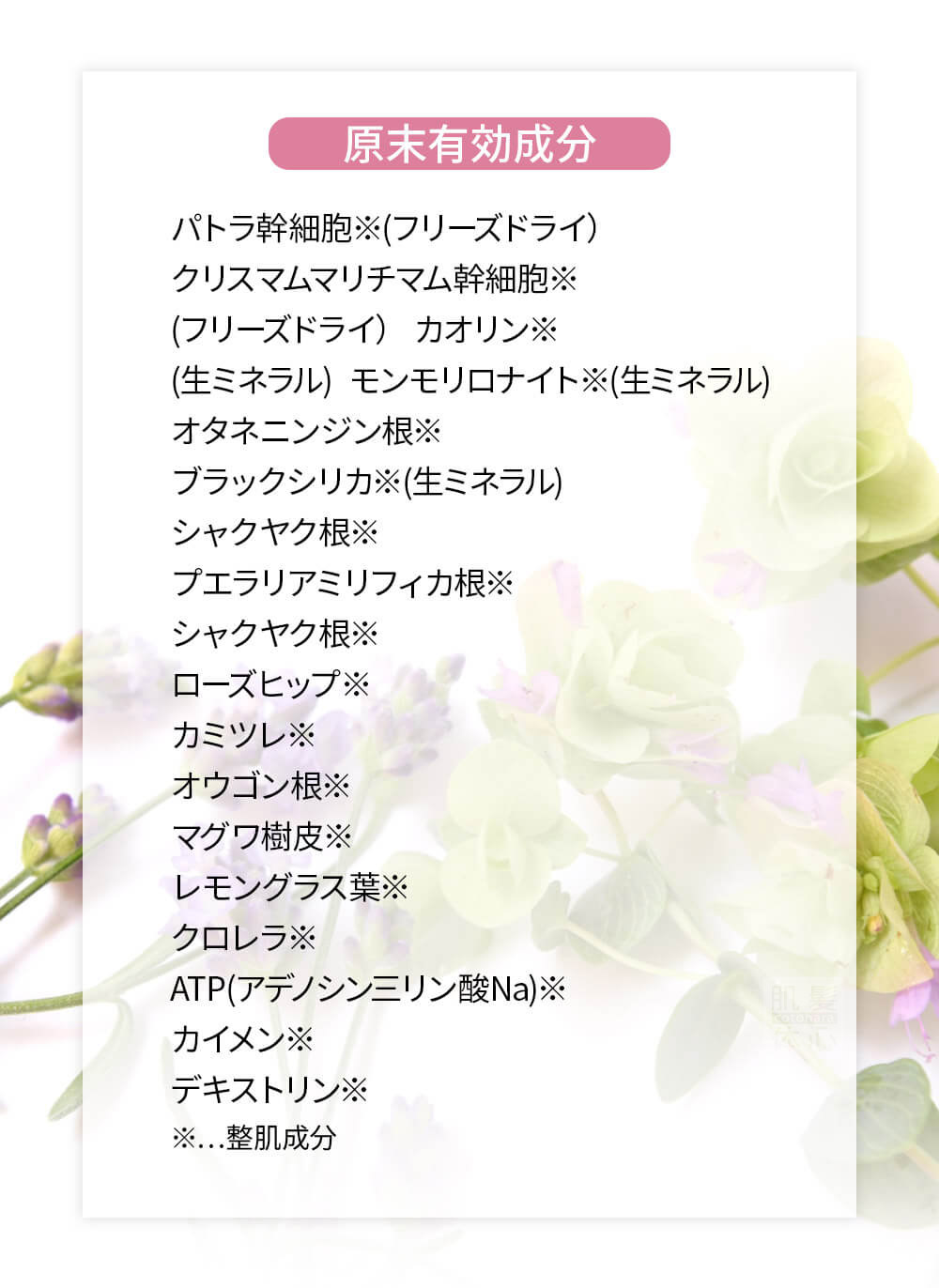 初めての リアボーテ ハーブトリートメントなら 東京 からだのことなら｜口コミ 効果 ダウンタイムなし 剥離なし 値段 など徹底解説　【スキンケア専門サロン 美肌再生研究所 SEIGAN】