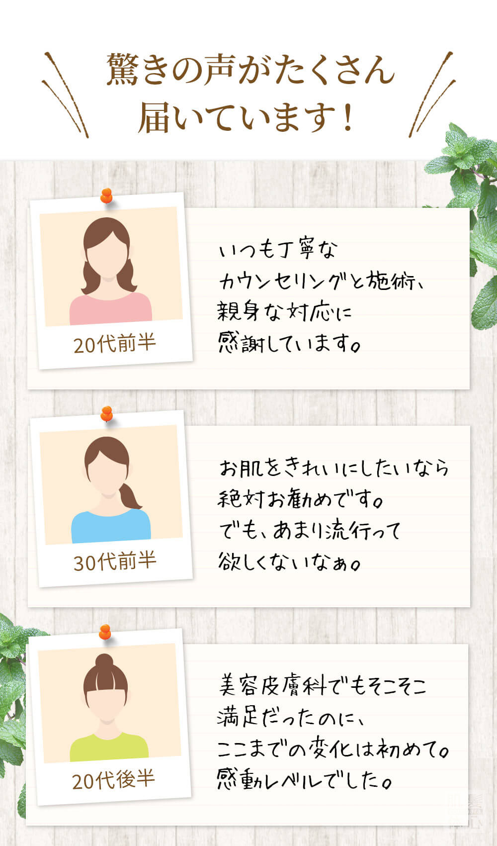 初めての リアボーテ ハーブトリートメントなら 東京 からだのことなら｜口コミ 効果 ダウンタイムなし 剥離なし 値段 など徹底解説　【スキンケア専門サロン 美肌再生研究所 SEIGAN】