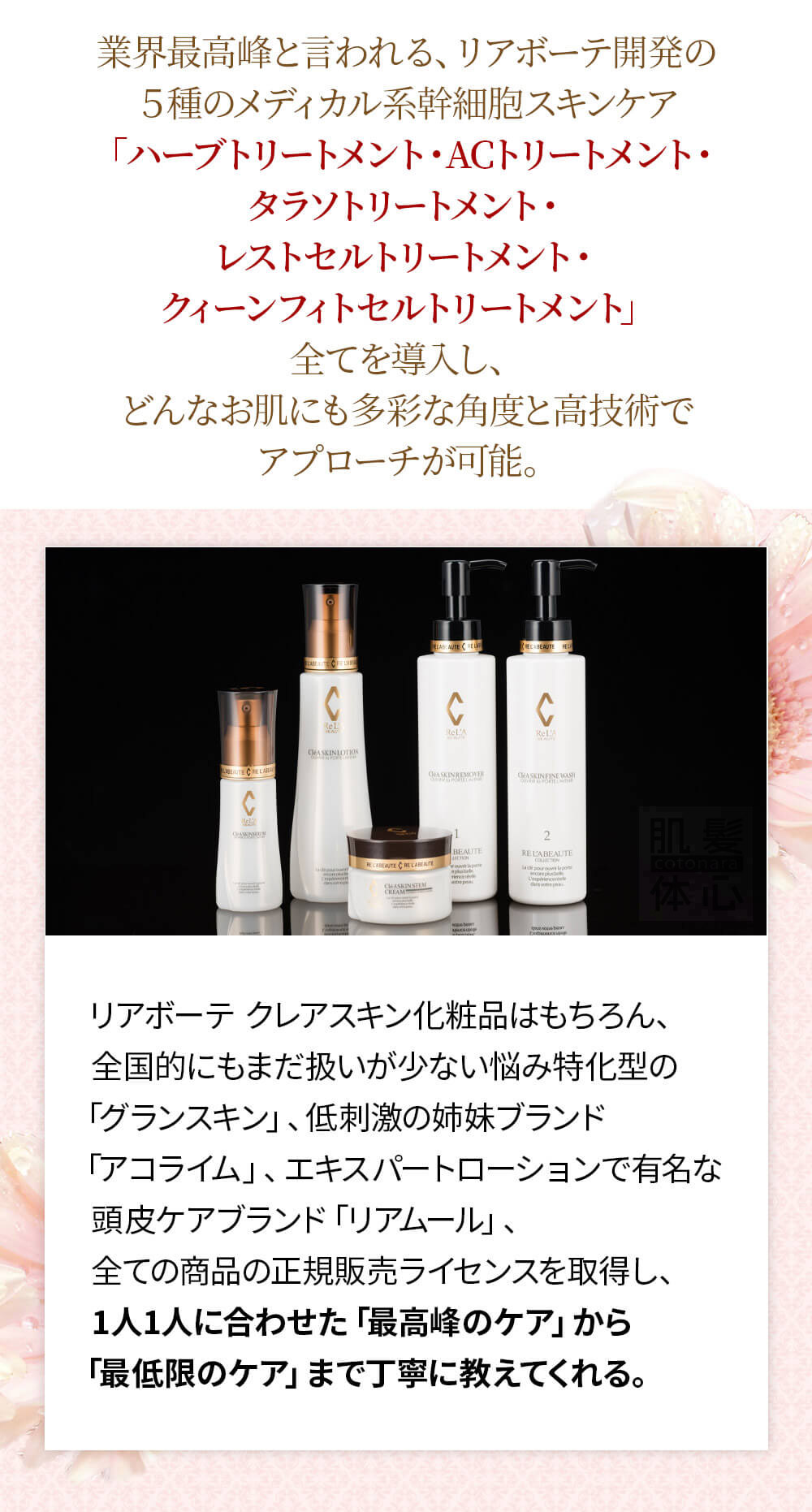 初めての リアボーテ ハーブトリートメントなら 東京 からだのことなら｜口コミ 効果 ダウンタイムなし 剥離なし 値段 など徹底解説　【スキンケア専門サロン 美肌再生研究所 SEIGAN】