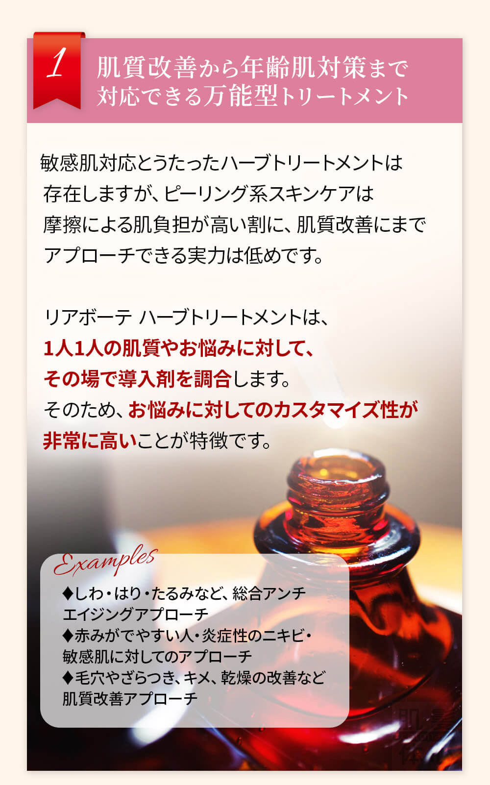 初めての リアボーテ ハーブトリートメントなら 東京 からだのことなら｜口コミ 効果 ダウンタイムなし 剥離なし 値段 など徹底解説　【スキンケア専門サロン 美肌再生研究所 SEIGAN】