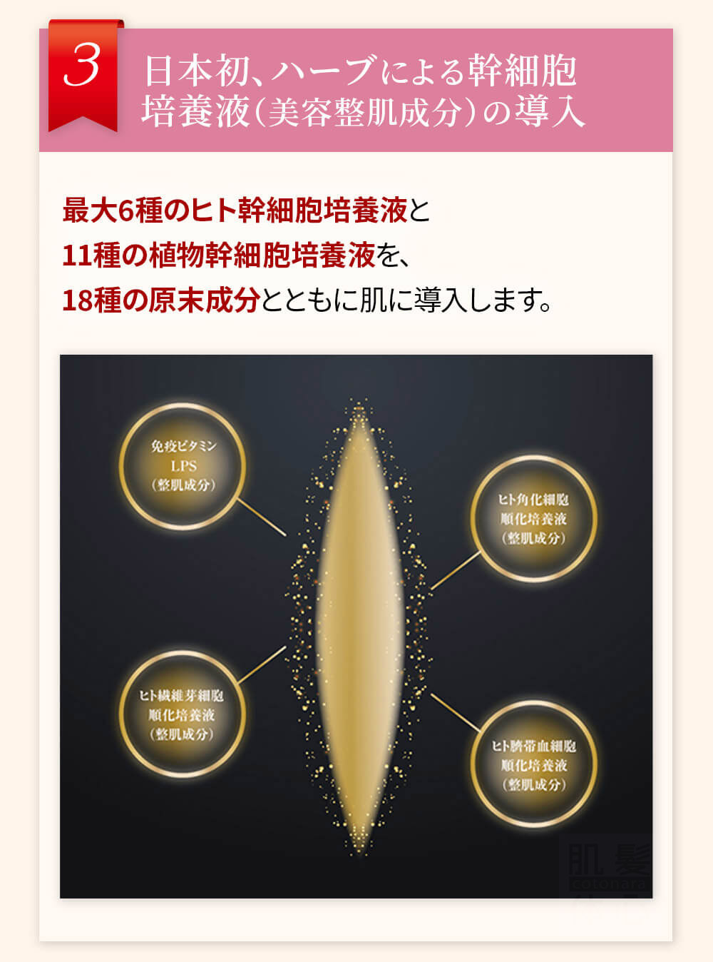初めての リアボーテ ハーブトリートメントなら 東京 からだのことなら｜口コミ 効果 ダウンタイムなし 剥離なし 値段 など徹底解説　【スキンケア専門サロン 美肌再生研究所 SEIGAN】