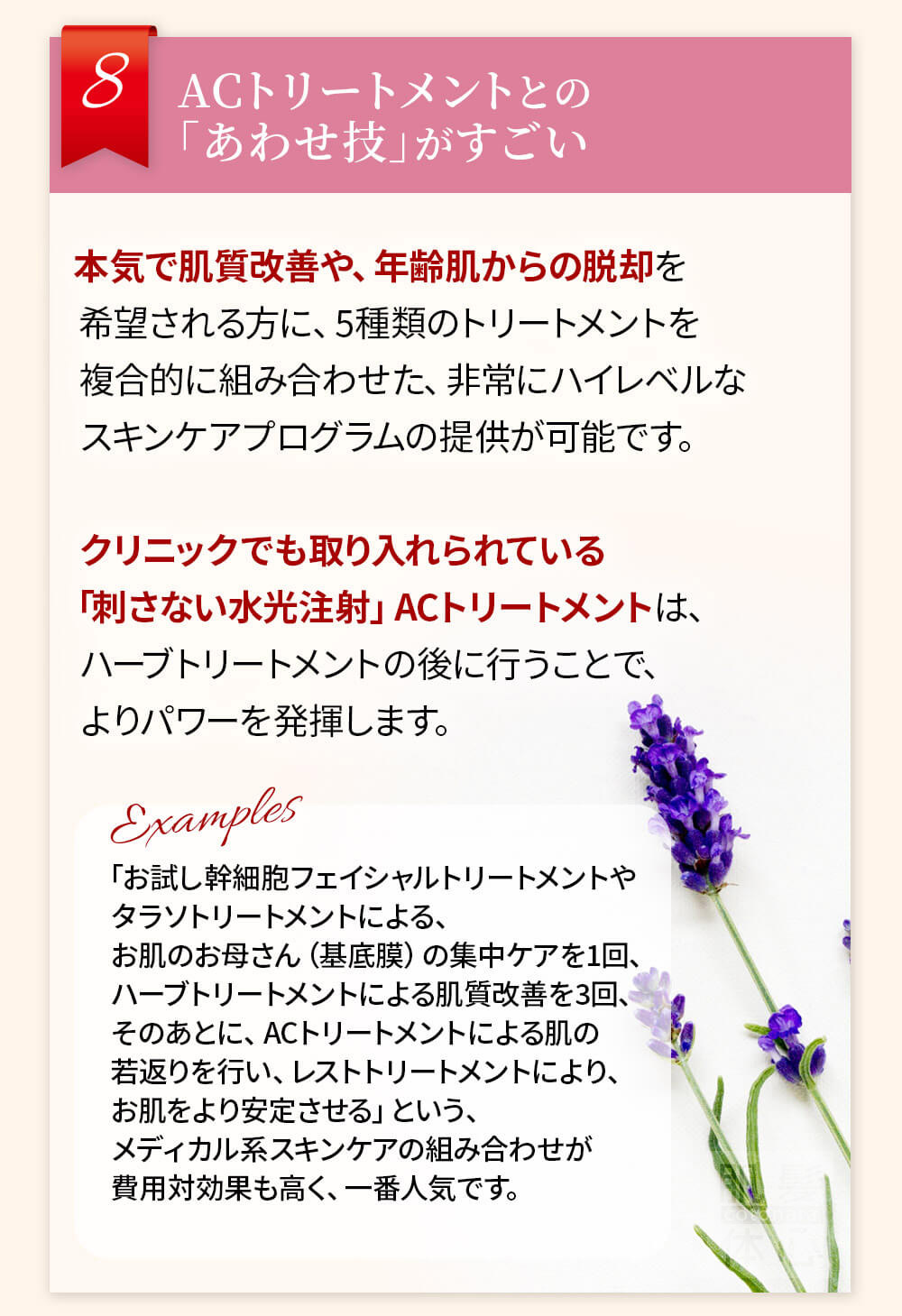 初めての リアボーテ ハーブトリートメントなら 東京 からだのことなら｜口コミ 効果 ダウンタイムなし 剥離なし 値段 など徹底解説　【スキンケア専門サロン 美肌再生研究所 SEIGAN】