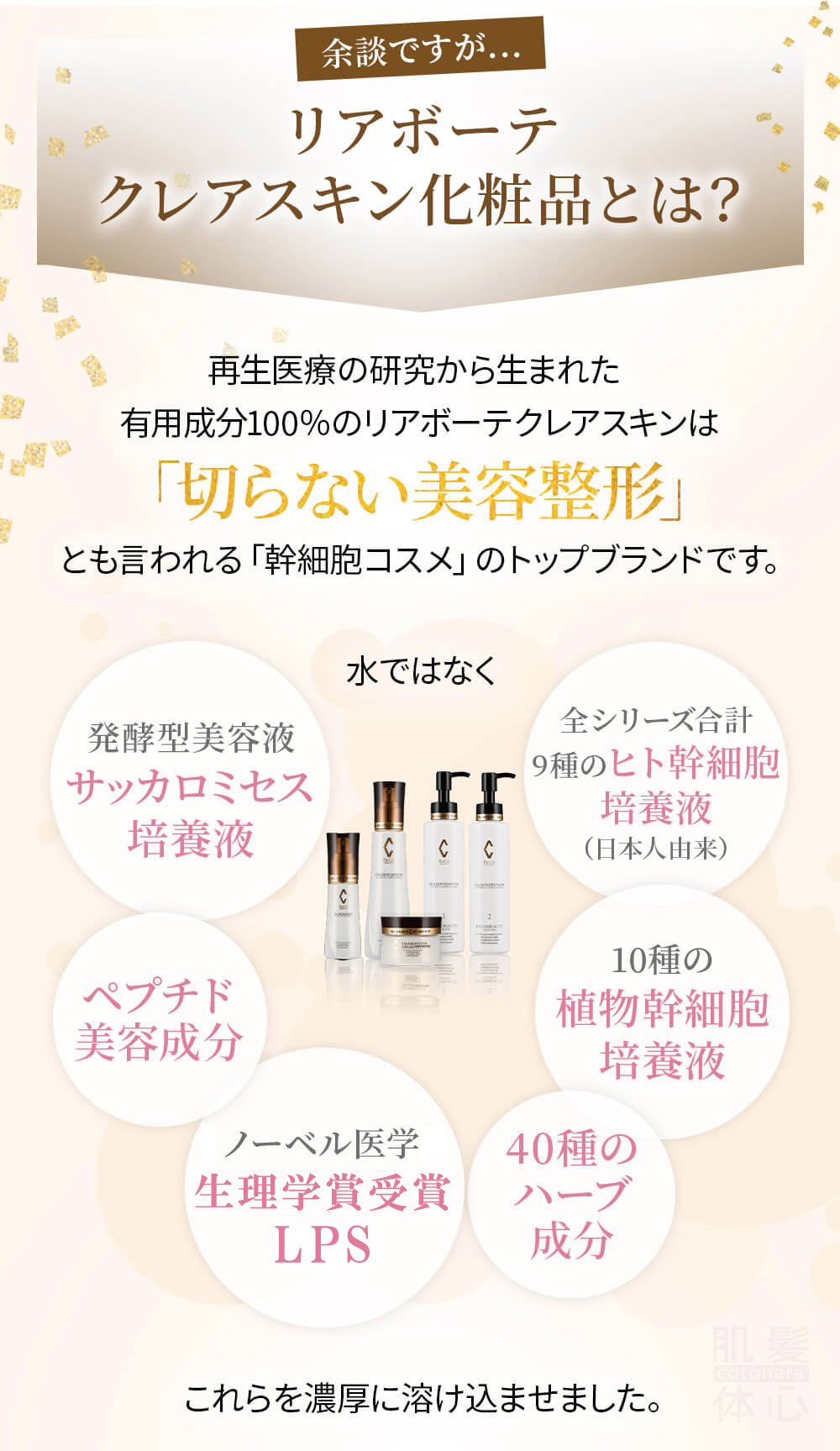 初めての リアボーテ ハーブトリートメントなら 東京 からだのことなら｜口コミ 効果 ダウンタイムなし 剥離なし 値段 など徹底解説　【スキンケア専門サロン 美肌再生研究所 SEIGAN】