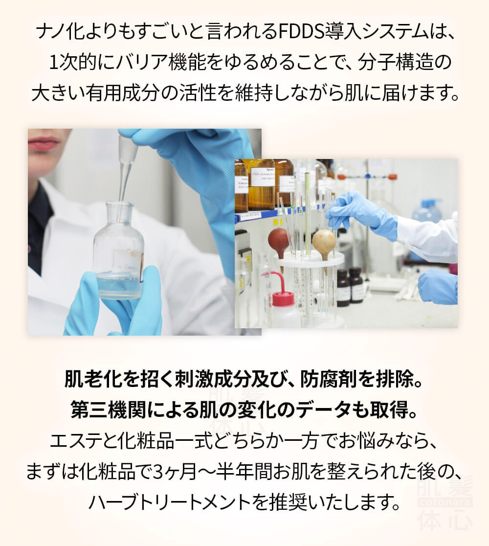 初めての リアボーテ ハーブトリートメントなら 東京 からだのことなら｜口コミ 効果 ダウンタイムなし 剥離なし 値段 など徹底解説　【スキンケア専門サロン 美肌再生研究所 SEIGAN】