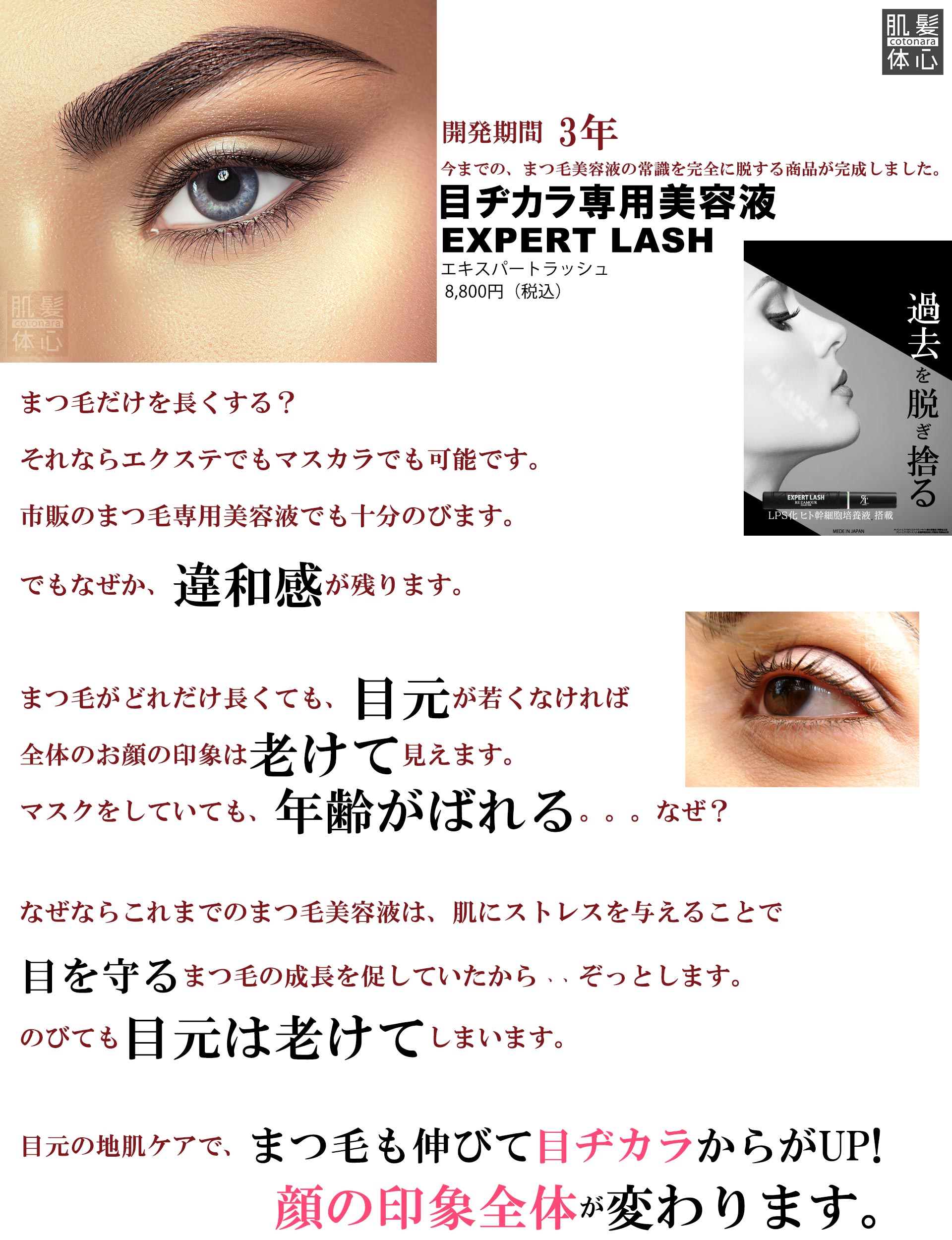 まつ毛専用美容液 リアムール エキスパートラッシュ のご購入はこちらから｜東京・世田谷区 正規取扱い販売店 からだのことなら【ビューティースキンラボ AnnaCarna】｜通販ネットショップ運営｜口コミ・効果・公式の使い方など