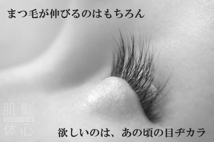 まつ毛専用美容液 リアムール エキスパートラッシュ のご購入はこちらから｜東京・世田谷区 正規取扱い販売店 からだのことなら【ビューティースキンラボ AnnaCarna】｜通販ネットショップ運営｜口コミ・効果・公式の使い方など