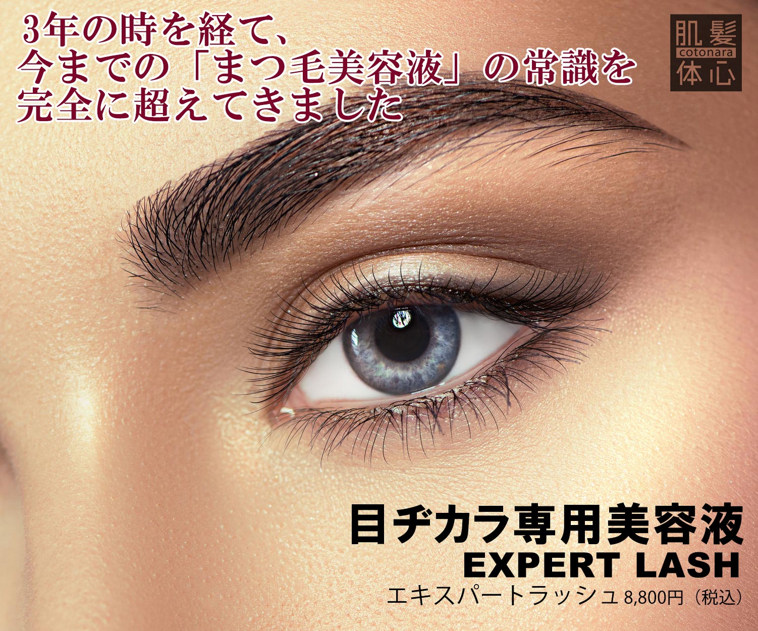 まつ毛専用美容液 リアムール エキスパートラッシュ のご購入はこちらから｜東京・世田谷区 正規取扱い販売店 からだのことなら【ビューティースキンラボ AnnaCarna】｜通販ネットショップ運営｜口コミ・効果・公式の使い方など