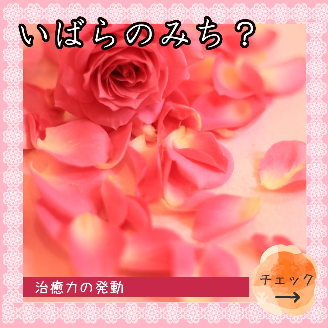 公式インスタグラム｜東京・世田谷区 リアボーテクレアスキン化粧品・エキスパートローション正規取扱い販売店 からだのことなら【美肌研究所 SEIGAN】｜店舗直営通販ショップ・口コミ・効果・公式の使い方など