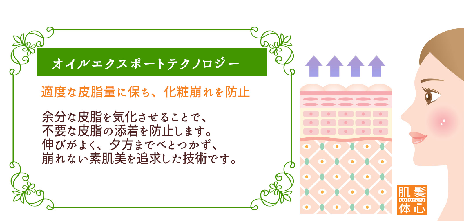 塗る女優ライト シェリースキン CCクリームのご購入はこちらから｜東京・世田谷区 正規取扱い販売店 からだのことなら【ビューティースキンラボ AnnaCarna】｜通販ネットショップ運営｜口コミ・効果・公式の使い方など