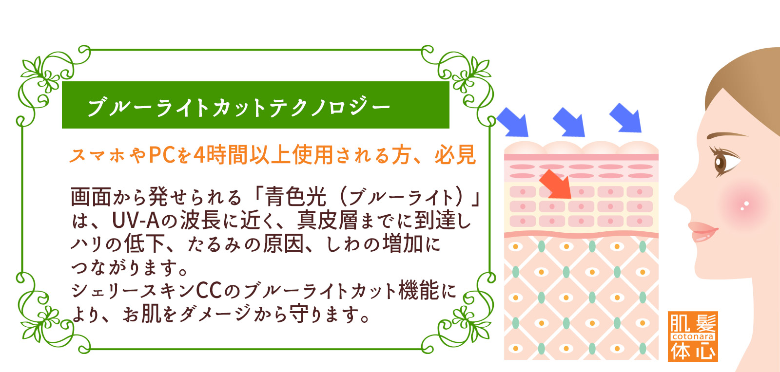塗る女優ライト シェリースキン CCクリームのご購入はこちらから｜東京・世田谷区 正規取扱い販売店 からだのことなら【ビューティースキンラボ AnnaCarna】｜通販ネットショップ運営｜口コミ・効果・公式の使い方など