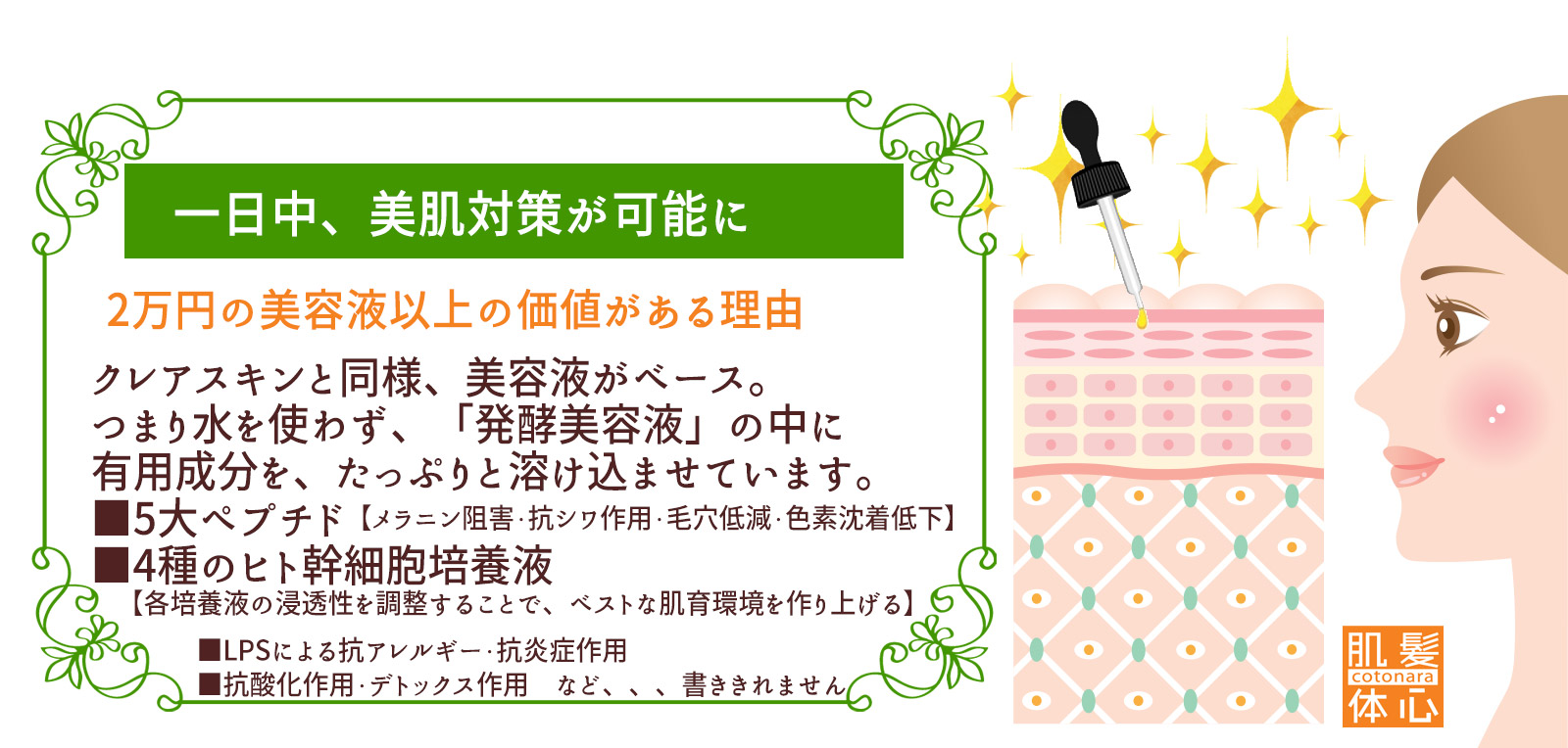 塗る女優ライト シェリースキン CCクリームのご購入はこちらから｜東京・世田谷区 正規取扱い販売店 からだのことなら【ビューティースキンラボ AnnaCarna】｜通販ネットショップ運営｜口コミ・効果・公式の使い方など
