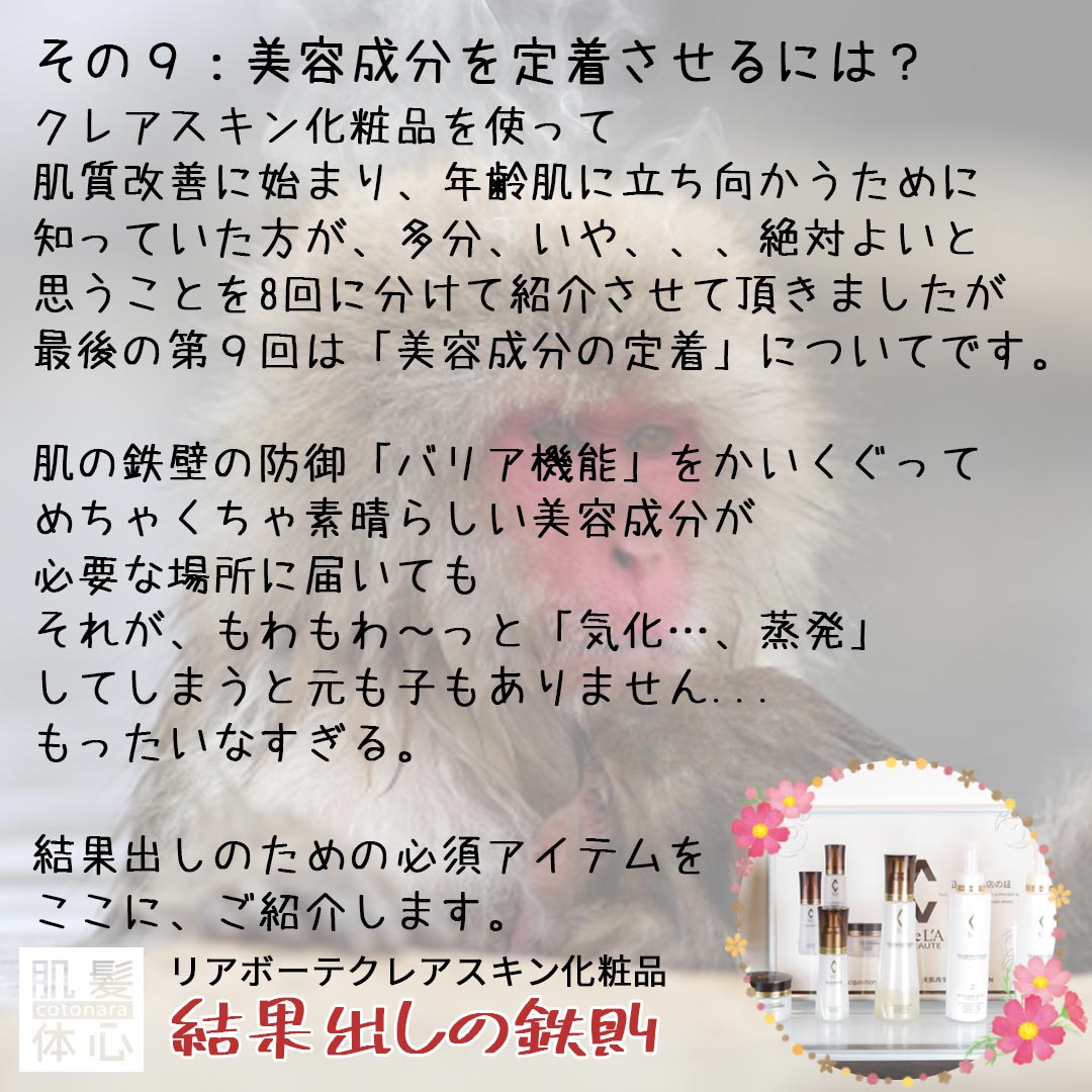 公式インスタグラム｜東京・世田谷区 リアボーテクレアスキン化粧品・エキスパートローション正規取扱い販売店 からだのことなら【ビューティースキンラボ AnnaCarna】｜店舗直営通販ショップ・口コミ・効果・公式の使い方など