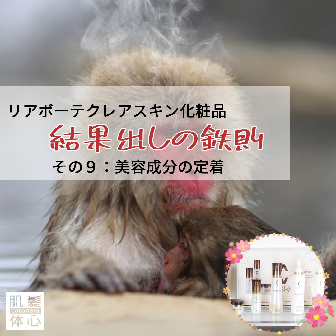 公式インスタグラム｜東京・世田谷区 リアボーテクレアスキン化粧品・エキスパートローション正規取扱い販売店 からだのことなら【ビューティースキンラボ AnnaCarna】｜店舗直営通販ショップ・口コミ・効果・公式の使い方など