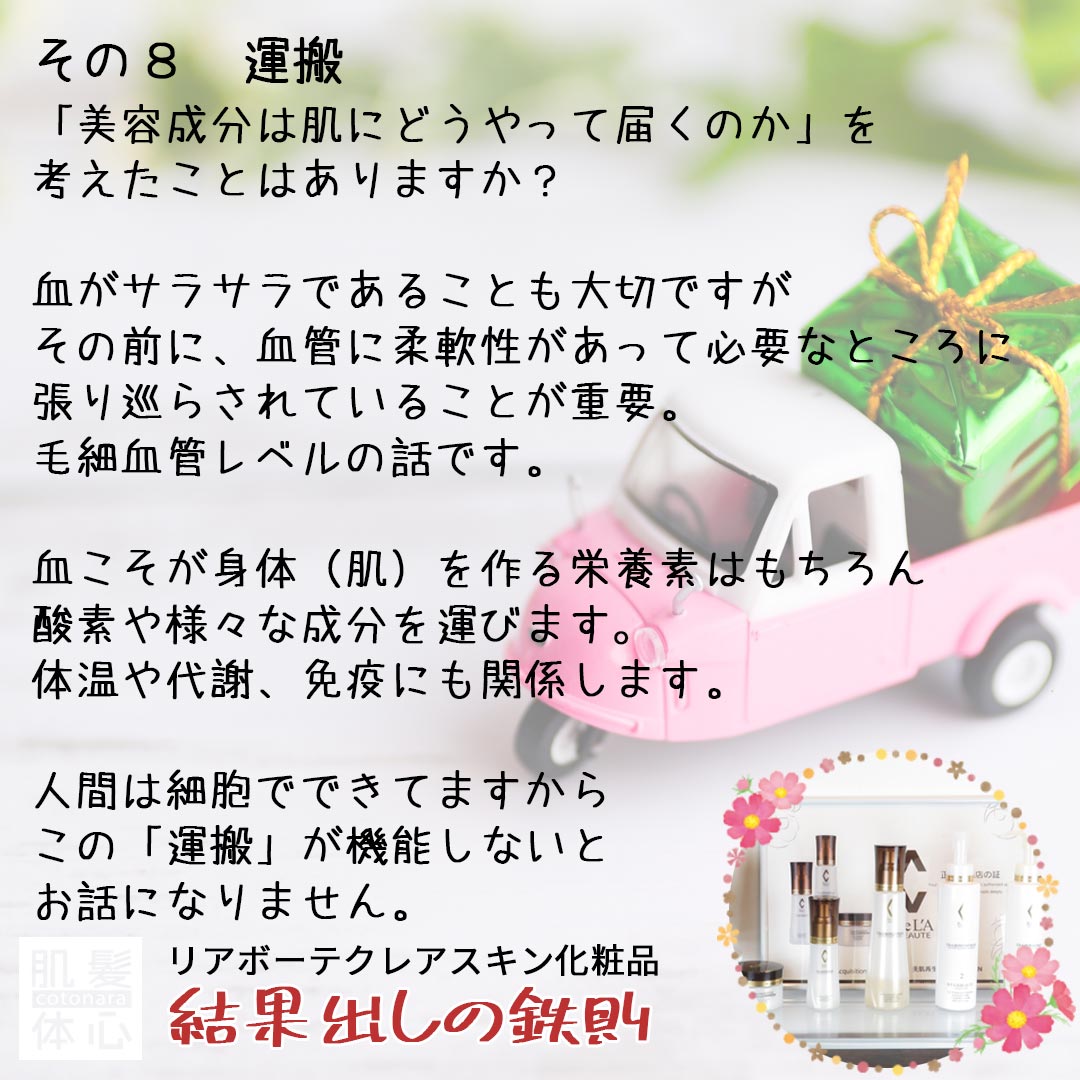 公式インスタグラム｜東京・世田谷区 リアボーテクレアスキン化粧品・エキスパートローション正規取扱い販売店 からだのことなら【ビューティースキンラボ AnnaCarna】｜店舗直営通販ショップ・口コミ・効果・公式の使い方など