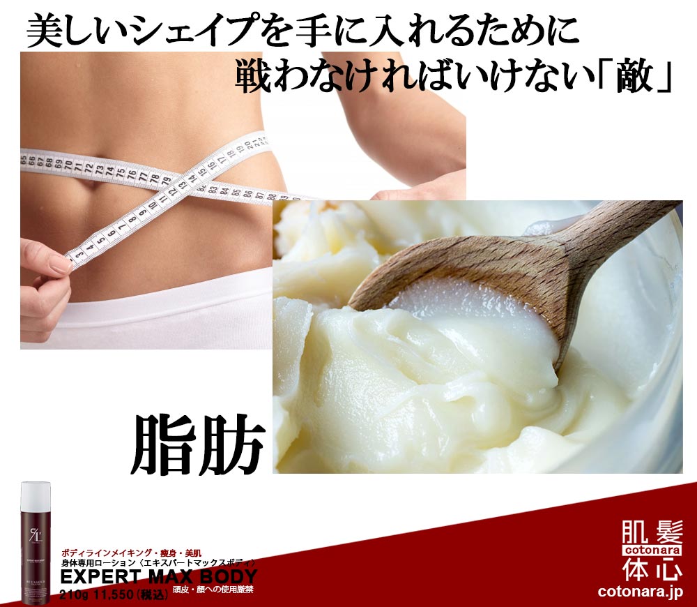 エキスパートマックスボディ正規販売店 ご購入はこちらから｜東京・世田谷区 正規取扱い販売店 からだのことなら【ビューティースキンラボ AnnaCarna】｜通販ネットショップ運営｜口コミ・効果・公式の使い方など