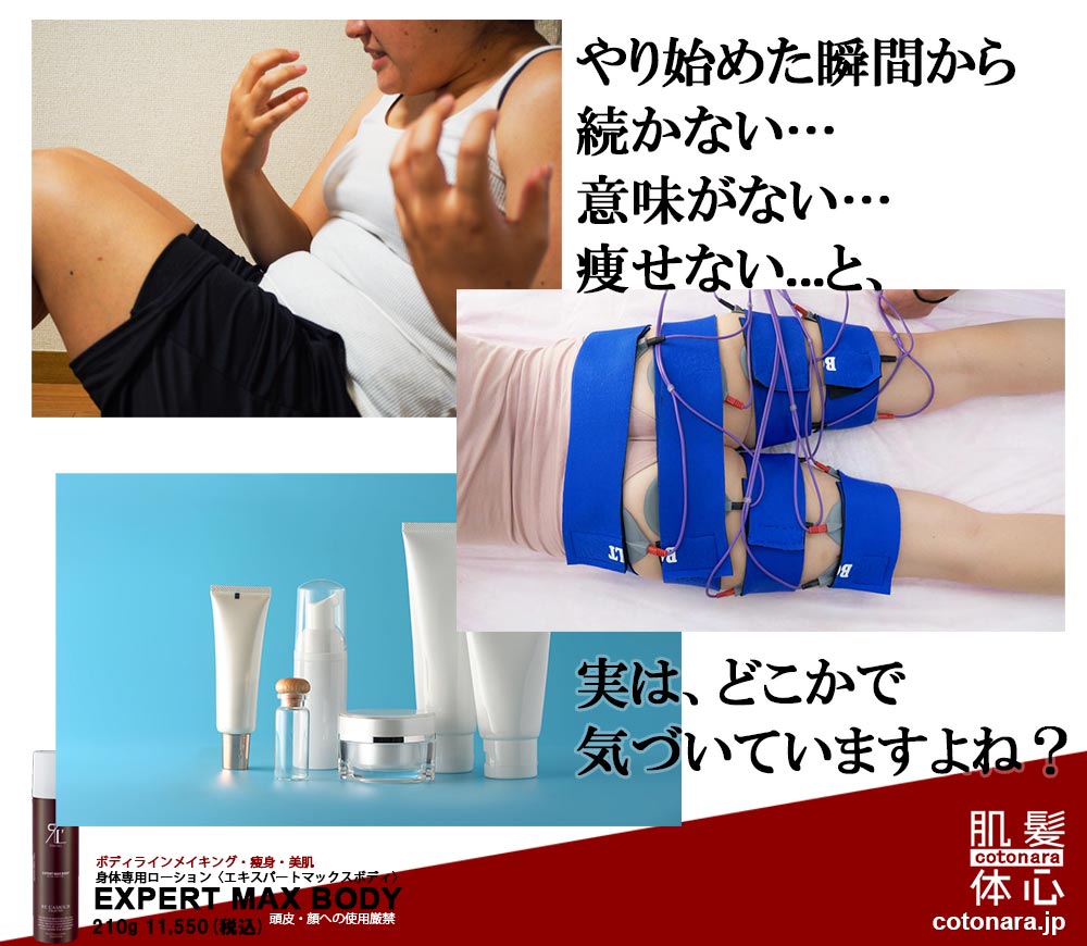 エキスパートマックスボディ正規販売店 ご購入はこちらから｜東京・世田谷区 正規取扱い販売店 からだのことなら【ビューティースキンラボ AnnaCarna】｜通販ネットショップ運営｜口コミ・効果・公式の使い方など