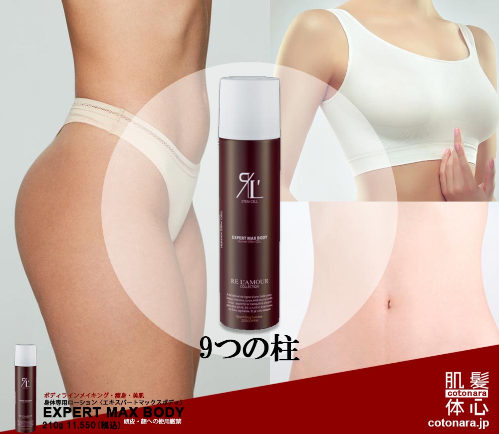 エキスパートマックスボディ正規販売店 ご購入はこちらから｜東京・世田谷区 正規取扱い販売店 からだのことなら【ビューティースキンラボ AnnaCarna】｜通販ネットショップ運営｜口コミ・効果・公式の使い方など