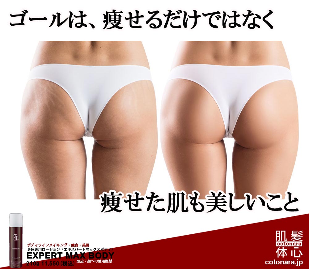 エキスパートマックスボディ正規販売店 ご購入はこちらから｜東京・世田谷区 正規取扱い販売店 からだのことなら【ビューティースキンラボ AnnaCarna】｜通販ネットショップ運営｜口コミ・効果・公式の使い方など