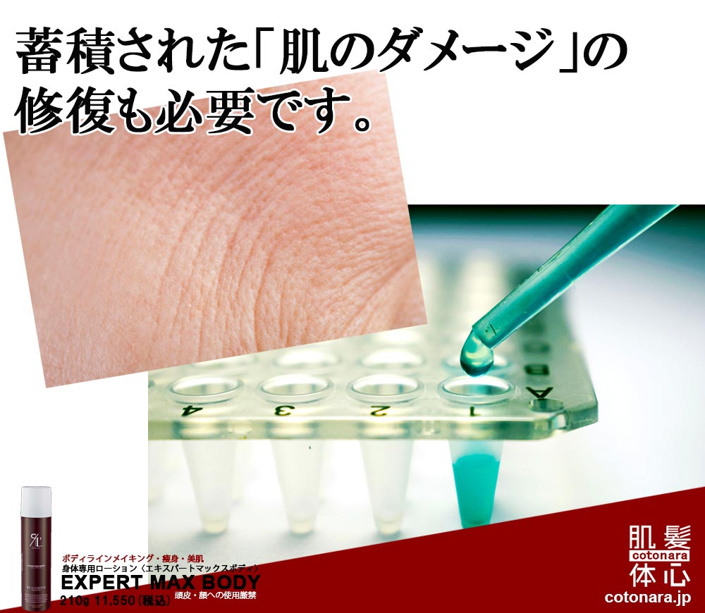 エキスパートマックスボディ正規販売店 ご購入はこちらから｜東京・世田谷区 正規取扱い販売店 からだのことなら【ビューティースキンラボ AnnaCarna】｜通販ネットショップ運営｜口コミ・効果・公式の使い方など