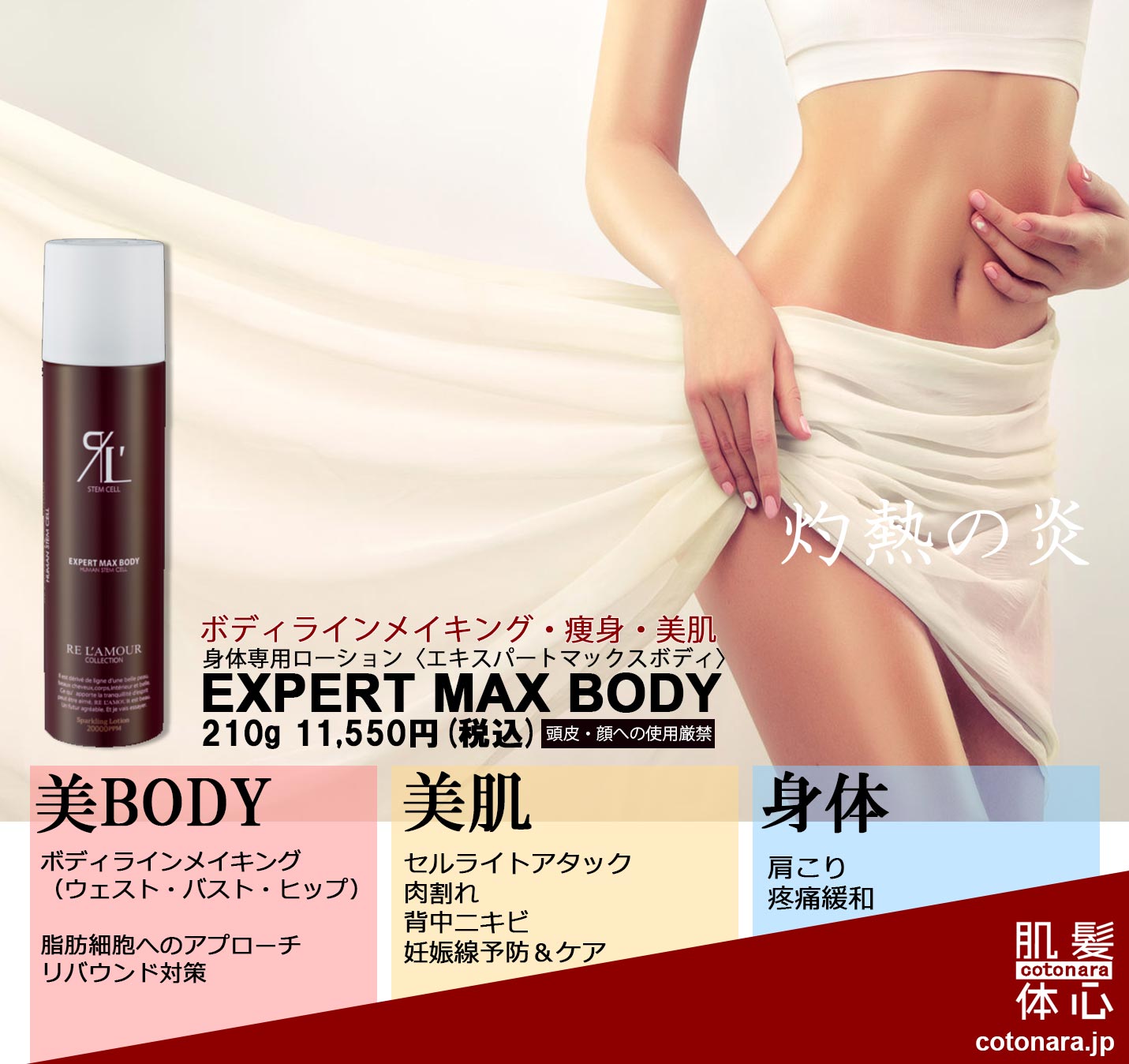 エキスパートマックスボディ正規販売店 ご購入はこちらから｜東京・世田谷区 正規取扱い販売店 からだのことなら【ビューティースキンラボ AnnaCarna】｜通販ネットショップ運営｜口コミ・効果・公式の使い方など