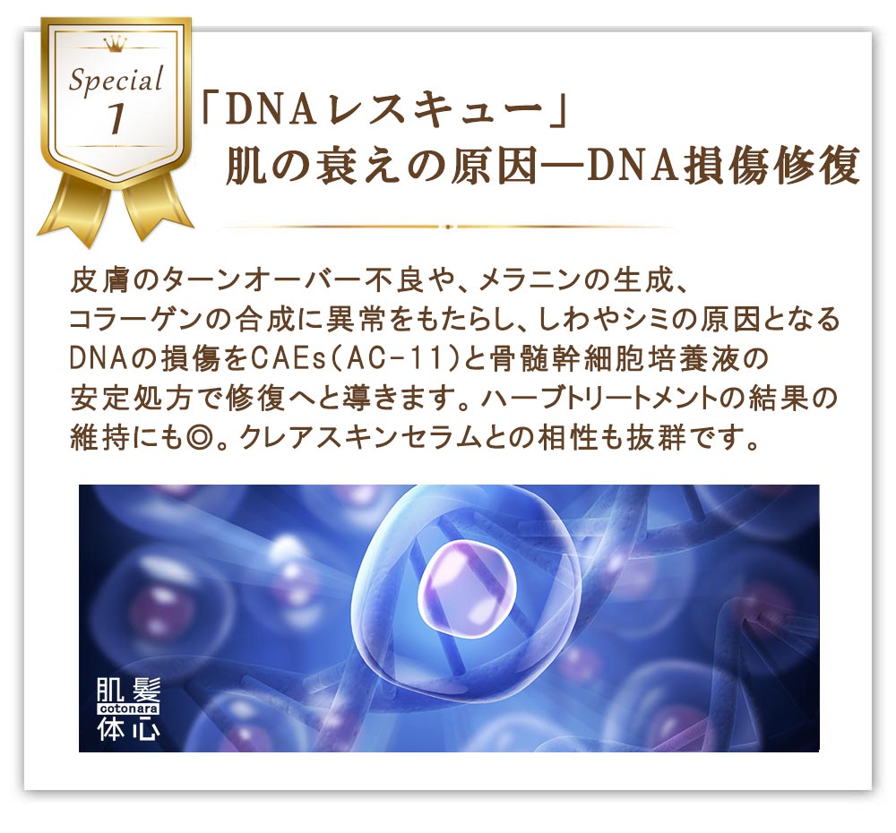 透明美容マスク シェリースキンウォーターのご購入はこちらから｜東京・世田谷区 正規取扱い販売店 からだのことなら【ビューティースキンラボ AnnaCarna】｜通販ネットショップ運営｜口コミ・効果・公式の使い方など