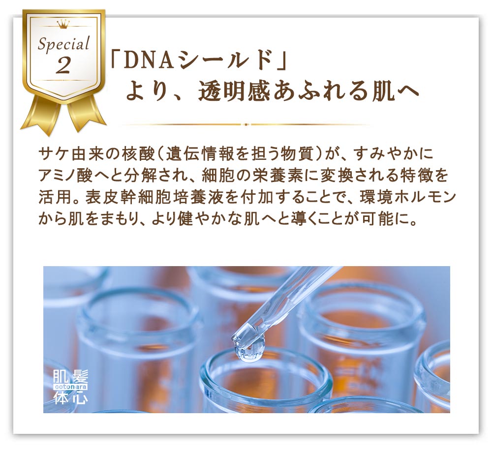 透明美容マスク シェリースキンウォーターのご購入はこちらから｜東京・世田谷区 正規取扱い販売店 からだのことなら【ビューティースキンラボ AnnaCarna】｜通販ネットショップ運営｜口コミ・効果・公式の使い方など