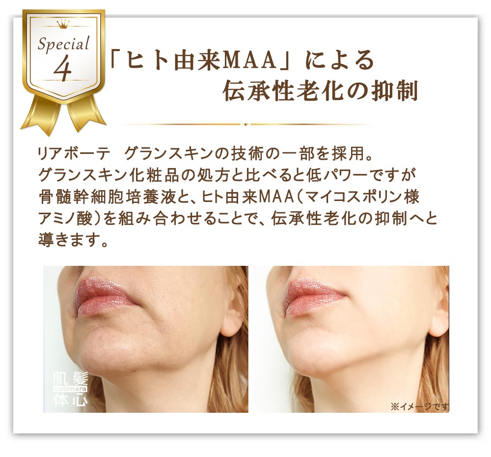 透明美容マスク シェリースキンウォーターのご購入はこちらから｜東京・世田谷区 正規取扱い販売店 からだのことなら【ビューティースキンラボ AnnaCarna】｜通販ネットショップ運営｜口コミ・効果・公式の使い方など