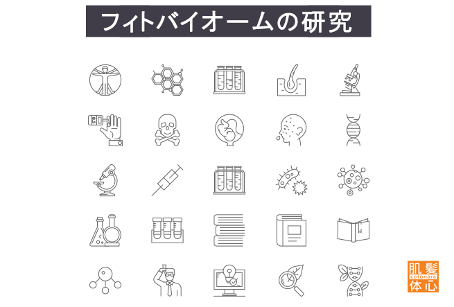 シェリースキン化粧品のご購入方法と使い方｜からだのことなら【リアボーテ正規取扱販売店 ビューティースキンラボ AnnaCarna】｜クレアスキン化粧品・グランスキン化粧品・シェリースキン・エキスパートローション・アコライム・リアムールのご購入はこちらから｜口コミ・効果・使い方・通販ネットショップ