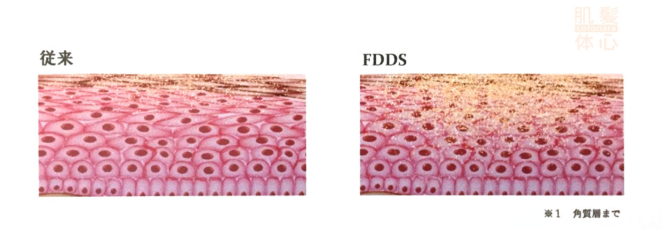 ファインドラッグデリバリーシステム｜からだのことなら【リアボーテ正規取扱販売店 ビューティースキンラボ AnnaCarna】｜クレアスキン化粧品・グランスキン化粧品・シェリースキン・エキスパートローション・アコライム・リアムールのご購入はこちらから｜口コミ・効果・使い方・通販ネットショップ