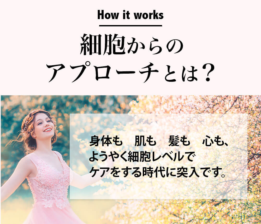 細胞からのアプローチとは｜からだのことなら【リアボーテ正規取扱販売店 ビューティースキンラボ AnnaCarna】｜クレアスキン化粧品・グランスキン化粧品・シェリースキン・エキスパートローション・アコライム・リアムールのご購入はこちらから｜口コミ・効果・使い方・通販専門店・ネットショップ