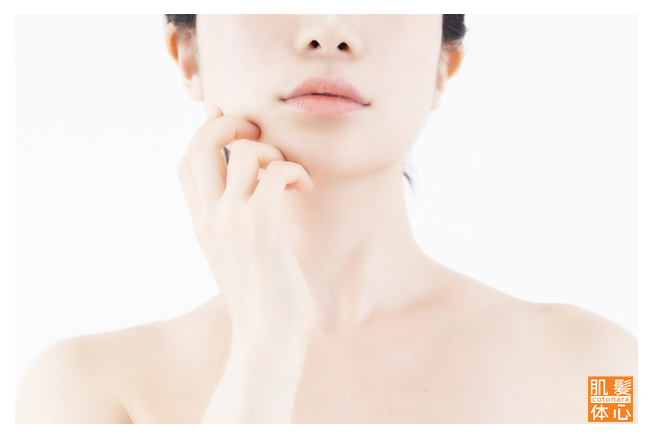 シェリースキン化粧品のご購入方法と使い方｜からだのことなら【リアボーテ正規取扱販売店 ビューティースキンラボ AnnaCarna】｜クレアスキン化粧品・グランスキン化粧品・シェリースキン・エキスパートローション・アコライム・リアムールのご購入はこちらから｜口コミ・効果・使い方・通販ネットショップ