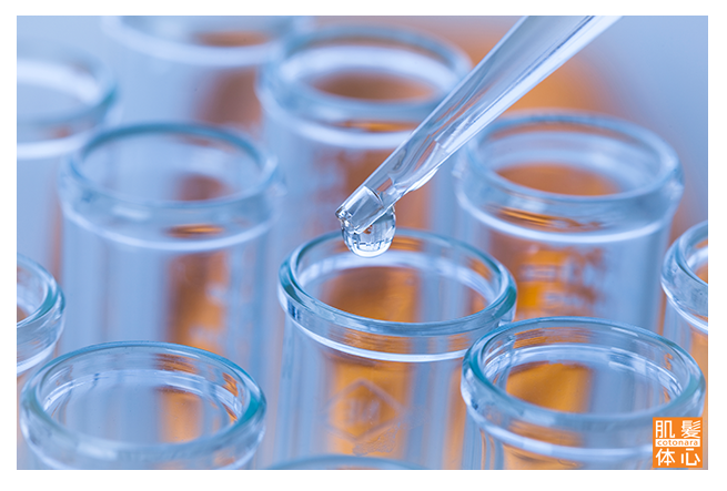 シェリースキン化粧品のご購入方法と使い方｜からだのことなら【リアボーテ正規取扱販売店 ビューティースキンラボ AnnaCarna】｜クレアスキン化粧品・グランスキン化粧品・シェリースキン・エキスパートローション・アコライム・リアムールのご購入はこちらから｜口コミ・効果・使い方・通販ネットショップ