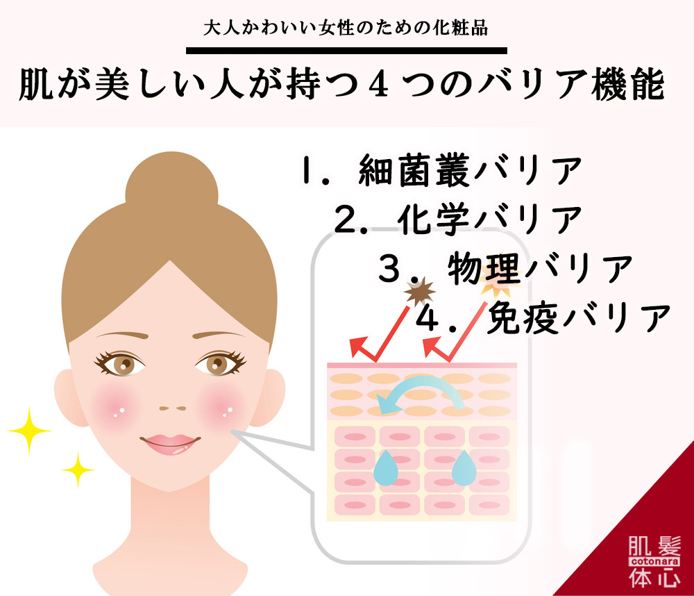 シェリースキン化粧品のご購入方法と使い方｜からだのことなら【リアボーテ正規取扱販売店 ビューティースキンラボ AnnaCarna】｜クレアスキン化粧品・グランスキン化粧品・シェリースキン・エキスパートローション・アコライム・リアムールのご購入はこちらから｜口コミ・効果・使い方・通販ネットショップ