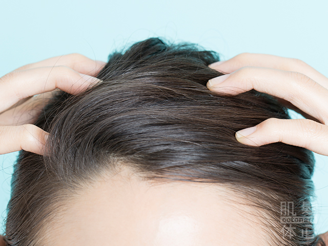 AC頭皮トリートメント|からだのことなら【リアボーテ正規取扱販売店 ビューティースキンラボ AnnaCarna】|クレアスキン化粧品・グランスキン化粧品・シェリースキン・エキスパートローション・アコライム・リアムールのご購入はこちらから|口コミ・効果・使い方・通販ネットショップ