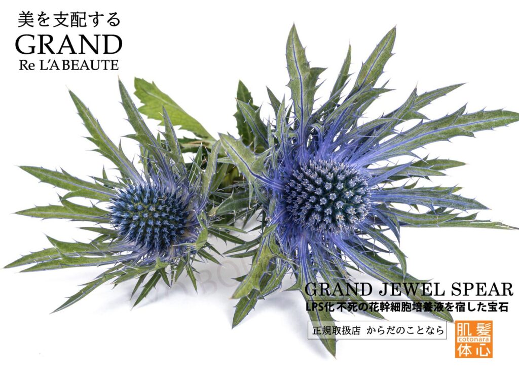 リアボーテグランハーブトリートメント予約｜からだのことなら【リアボーテ正規取扱販売店 ビューティースキンラボ AnnaCarna】｜クレアスキン化粧品・グランスキン化粧品・シェリースキン・エキスパートローション・アコライム・リアムールのご購入はこちらから｜口コミ・効果・使い方・値段・通販ネットショップ