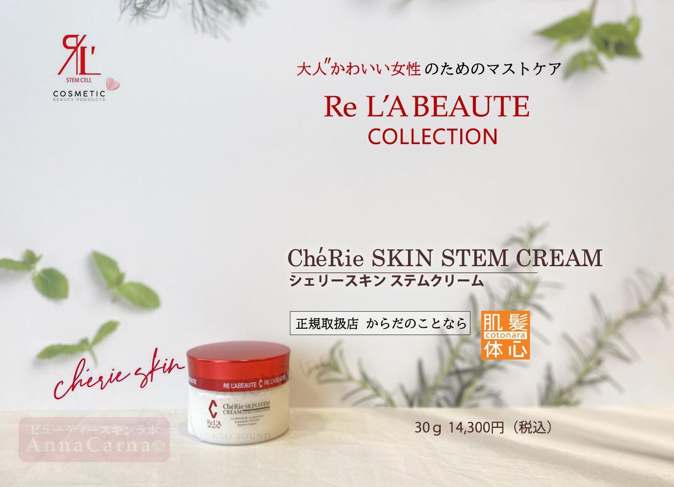 シェリースキンステムクリーム｜【リアボーテ正規取扱販売店 】肌と頭皮のお悩みに 幹細胞フェイシャル美容専門店 ビューティースキンラボ AnnaCarna〈からだのことなら〉銀座線・外苑前・表参道駅・青山一丁目駅｜クレアスキン・グランスキン・シェリースキン・リアムール・エキスパートローション・エキスパートスタイル・健美草 KEN BI SOU・美顔器 エクラボーテ正規販売｜購入方法・効果・使用方法・保管方法・特徴・違い・値段・ビフォーアフター・ネット販売通販対象外