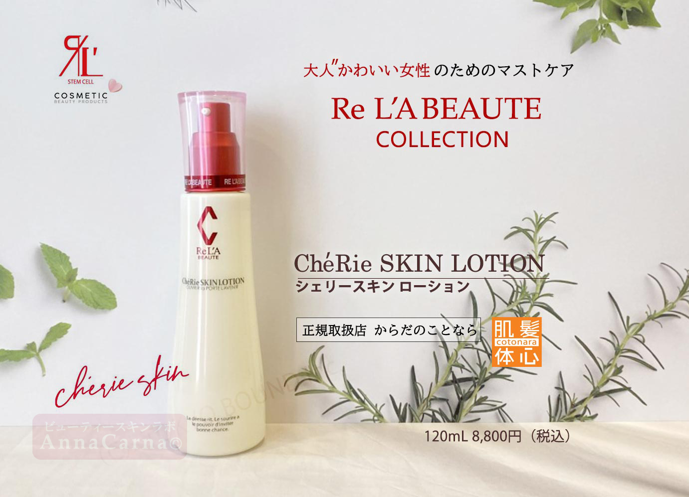 シェリースキンローション（化粧水）｜【リアボーテ正規取扱販売店 】肌と頭皮のお悩みに 幹細胞フェイシャル美容専門店 ビューティースキンラボ AnnaCarna〈からだのことなら〉銀座線・外苑前・表参道駅・青山一丁目駅｜クレアスキン・グランスキン・シェリースキン・リアムール・エキスパートローション・エキスパートスタイル・健美草 KEN BI SOU・美顔器 エクラボーテ正規販売｜購入方法・効果・使用方法・保管方法・特徴・違い・値段・ビフォーアフター・ネット販売通販対象外